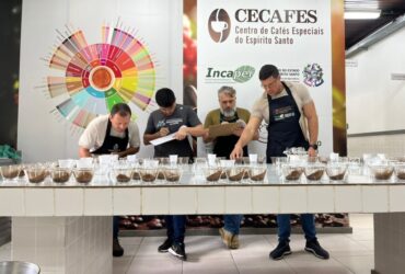 Pesquisa identifica os melhores clones de café para produção em Mato Grosso_6609a616a1a3e.jpeg